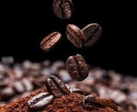 Instant Coffee vs Fresh Coffee: What's the Difference?