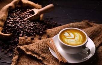 Getting to Know Kopi Luwak: Facts and Myths